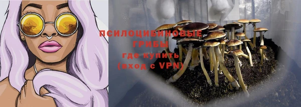 PSILOCYBIN Балахна