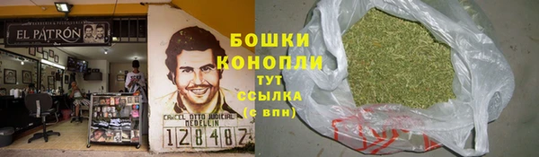 PSILOCYBIN Балахна