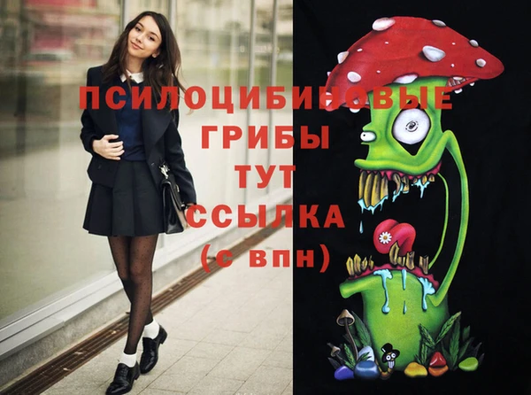 Альфа ПВП Россошь