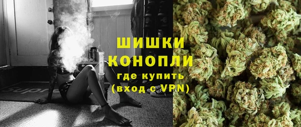 PSILOCYBIN Балахна