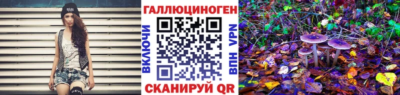 Псилоцибиновые грибы Psilocybine cubensis  Усть-Джегута 